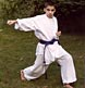 energetic boy shows off his karate skills