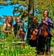 DaPonte String Quartet in the Coastal Maine Botanical Gardens in Boothbay Harbor, ME.