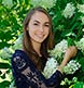 In a Hydrangea tree at our Harpswell studio.