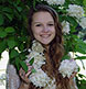 In a Hydranga tree at the Harpswell studio.