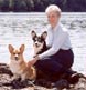 Woman and her two Welsh Corgis